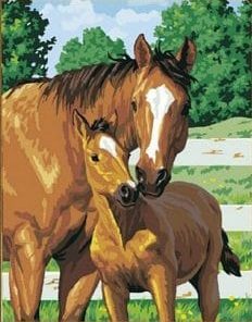 Horse and Foal Paint by numbers