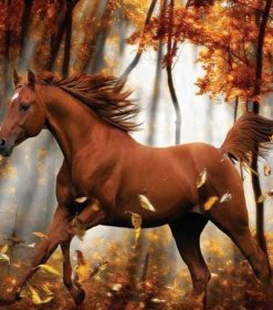 Horse in Autumn Paint By Numbers