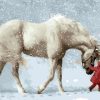 Horse in Snow Paint By Numbers