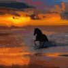 Horse on Sea Sunset Paint By Numbers