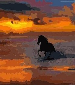 Horse on Sea Sunset Paint By Numbers