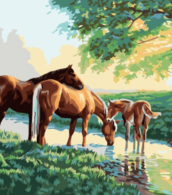 Horses Family Paint By Numbers