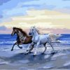 Horses On The Beach Paint By Numbers