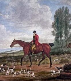 Horses and Hunting Hounds Paint By Numbers