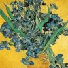 Irises Flower By Gogh Paint By Numbers