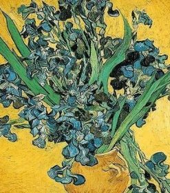 Irises Flower By Gogh Paint By Numbers