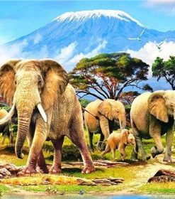 Kilimanjaro Elephant Paint By Numbers