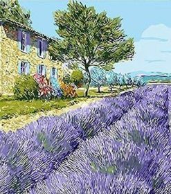 Lavender Field Paint By Numbers