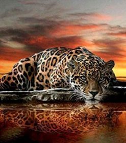 Leopard Stare Paint By Numbers