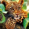 Leopard in Tree Paint By Numbers