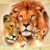 Lion Family Animals Paint By Numbers