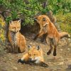 Little Fox Brothers Paint By Numbers