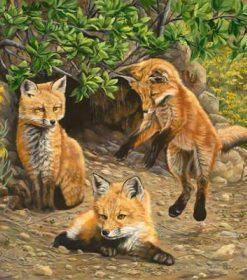 Little Fox Brothers Paint By Numbers