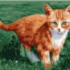 Little Orange Cat Paint By Numbers