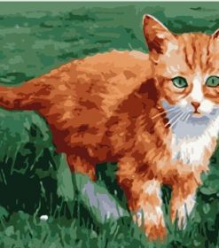Little Orange Cat Paint By Numbers