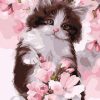 Little Pretty Cat Paint By Numbers