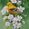 Little Yellow Bird Paint By Numbers