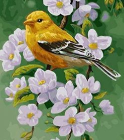 Little Yellow Bird Paint By Numbers