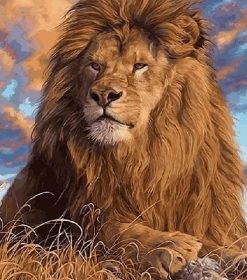 Magnificent Lion Paint By Numbers