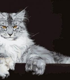 Maine Coon Cat Paint By Numbers