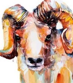 Male Sheep Paint By Numbers