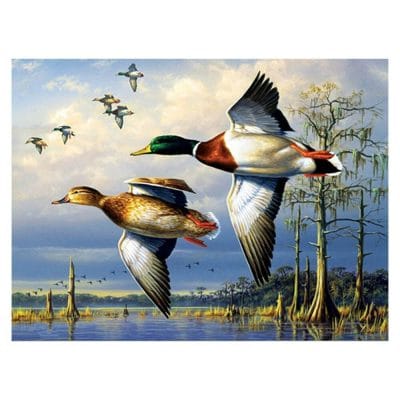Mallard Ducks Paint By Numbers
