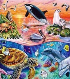 Marine Animals Paint By Numbers