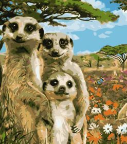 Meerkat Family Paint By Numbers