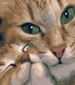 Mommy Cat Paint By Numbers