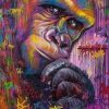 Monkey Graffiti Paint By Numbers