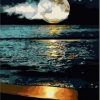 Moon Night at Beach Paint By Numbers