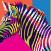Multi Colors Zebra Paint By Numbers