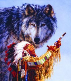 Native American Wolf Paint By Numbers
