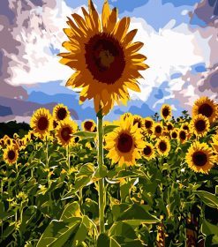 Nature Sunflowers Paint By Numbers