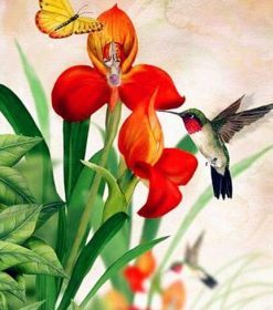 Orchid and Hummingbird Paint By Numbers