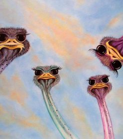 Ostrich Heads Paint By Numbers
