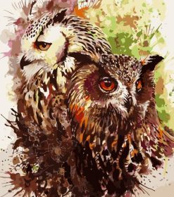Owl Couple Paint By Numbers
