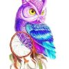 Owl Dream Catcher Paint By Numbers