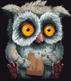 Owl Eating Biscuits Paint By Numbers
