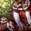 Owl Family Paint By Numbers
