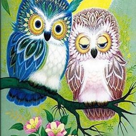 Owl Lovers Paint By Numbers