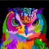 Owl Pop Art Paint By Numbers