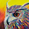 Owl Portrait Paint By Numbers