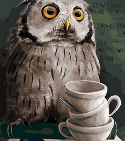 Owl Studying Paint By Numbers
