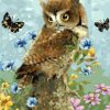 Owl and Butterflies Paint By Numbers