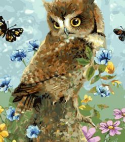 Owl and Butterflies Paint By Numbers