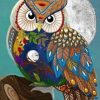 Owl and Moon Paint By Numbers