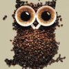 Owl of Coffee Paint By Numbers