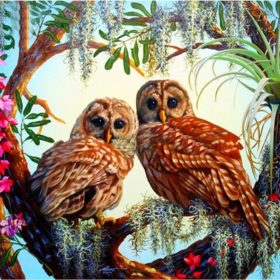 Owls Birds Paint By Numbers