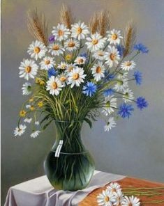 Oxeye Daisy Flowers Paint By Numbers